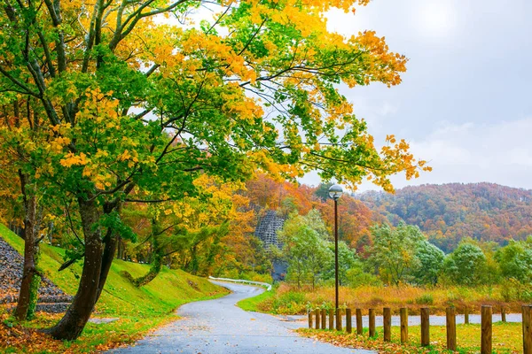 秋秋田県の紅葉 赤いカエデの木 秋の紅葉 日本の観光スポット口コミランキング Triproud — ストック写真