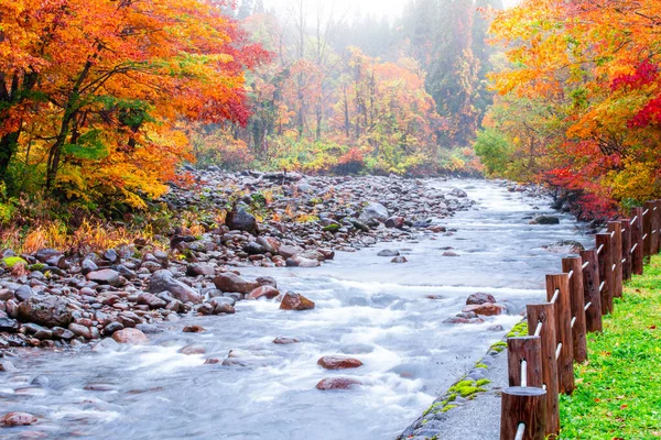 川は山の近く日陰に満ちている 秋になると多くの葉の間に雨が降っており 秋には葉の色が変わります — ストック写真