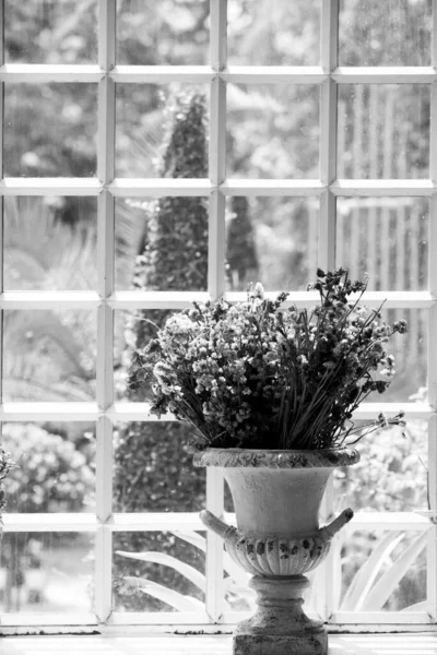Pencerenin Yanında Duran Kurumuş Çiçek Vazosu Yumuşak Odak Noktası Klasik — Stok fotoğraf