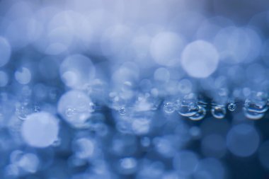 Yakın plan su kabarcığı ya da temiz bardakta kaynayan su. Siyah bir arkaplanda. Yumuşak odaklanma..