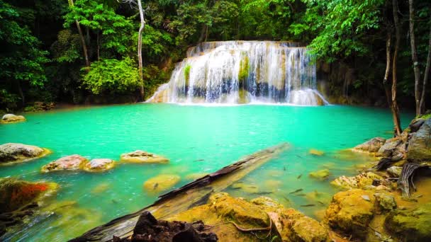 Vattenfall Och Fisk Simmar Smaragdblått Vatten Erawan Nationalpark Erawan Waterfall — Stockvideo