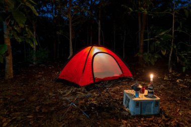 Gece yeşil bir ormanda kamp ve macera için kurulmuş bir çadır.
