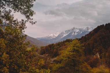 Yüksek dağlarda sonbahar. Sochi, Rusya. Krasnaya Polyana.