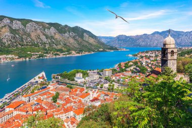 Kotor Körfezi, Çaresi Kilisesi ve Karadağ 'ın eski şehir çatıları manzarası.