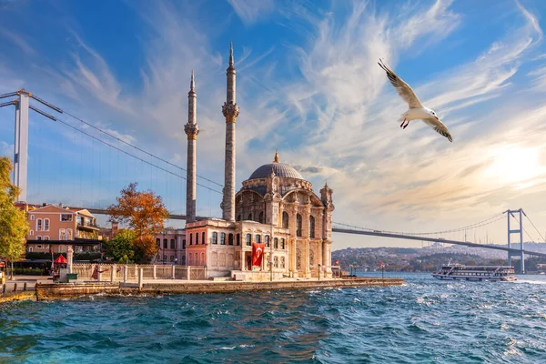 Gaviota Vuela Por Mezquita Ortakoy Hermosa Vista Desde Muelle Estambul —  Fotos de Stock