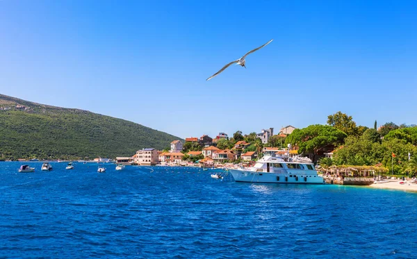 Litoral Mar Adriático Yacts Casas Baía Kotor Montenegro — Fotografia de Stock