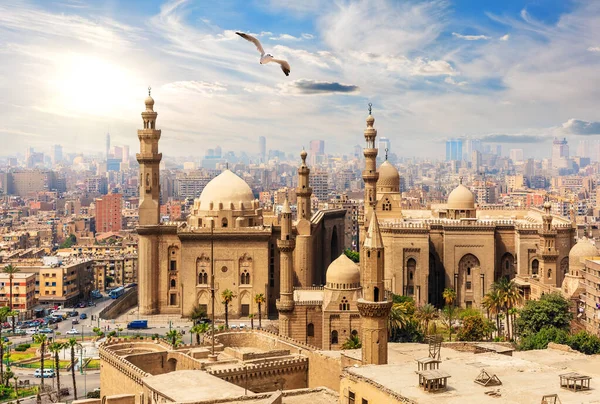 Seagull flyver af The Mosque-Madrassa of Sultan Hassan fra Citadel, Cairo, Egypten - Stock-foto