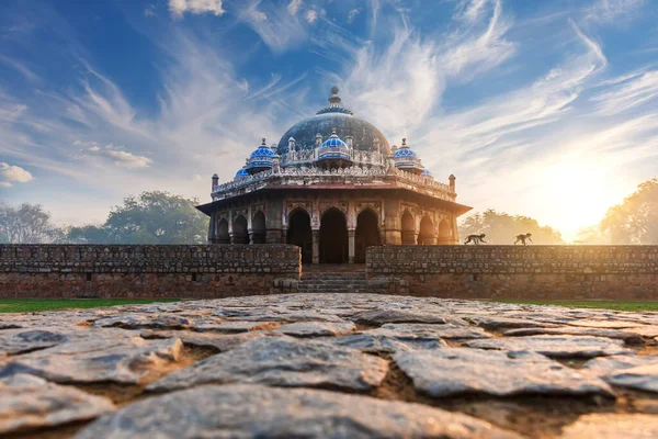 Zwei Affen Gehen Der Nähe Des Humayun Grabes Indien Neu — Stockfoto