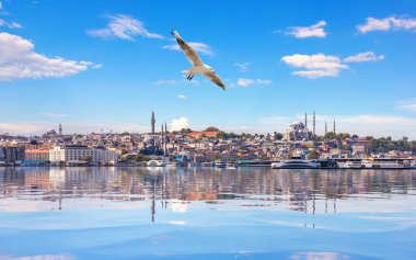 İstanbul Boğazı 'ndaki Süleyman Camii' nin yanından geçen martı.