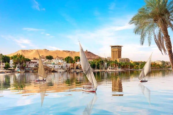 A Nílus és vitorlások a tenyér mögött, Aswan, Egyiptom, nyári táj — Stock Fotó