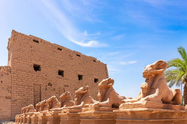 Magnifique Temple Karnak Statues Sphinx Tête Bélier Louxor Égypte — Photo