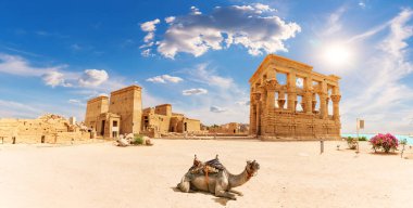 the Temple, Trajans Büfesi ve bir deve, güzel bir manzara, Aswan, Mısır