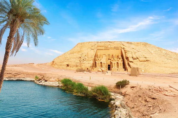 Пальма на берегу реки Нил в храме Абу-Симбел, Египет — стоковое фото