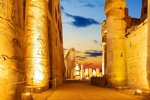 Колони Храму Луксора Нічного Освітлення Єгипет — стокове фото
