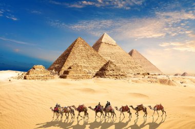 Mısır Piramitlerinin yanında bedevi olan bir deve kervanı Giza çölünde.