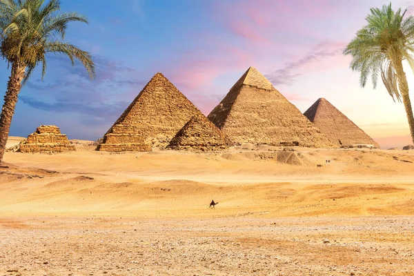开罗Giza区棕榈后著名的埃及大金字塔 — 图库照片
