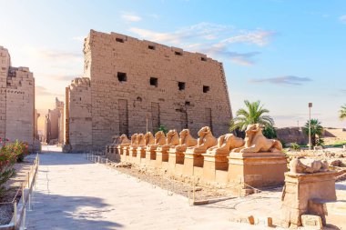 Sfenks Bulvarı, Karnak Tapınağı girişi, Lüksör, Mısır
