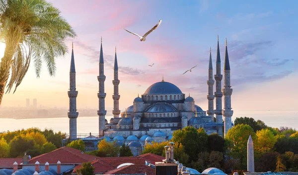 Sultanahmet lub Błękitny Meczet o zachodzie słońca, widok na Stambuł, Turcja — Zdjęcie stockowe