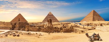 Giza Piramitleri ve Sfenks Panoraması 'nda bir deve yatıyor, Kahire, Mısır.