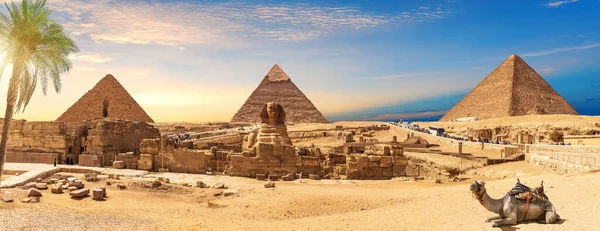 Egito Pirâmides Esfinge Panorama Atrás Palma Mão Com Camelo Deitado — Fotografia de Stock