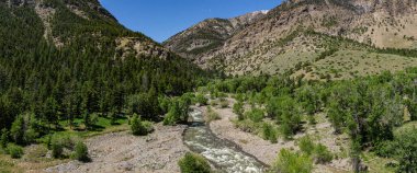 Wyoming 'deki dağlardan akan geniş bir dere manzarası..