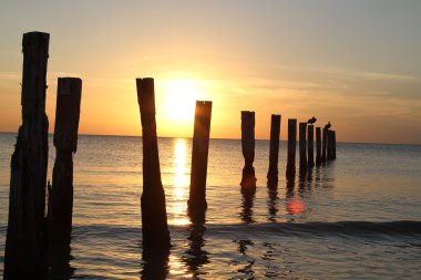 Gün batımında okyanusa eski mesajlar