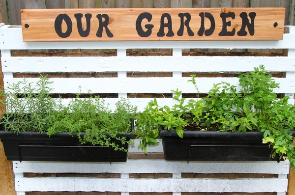 Containers of herbs on a pallet — Stock Photo, Image