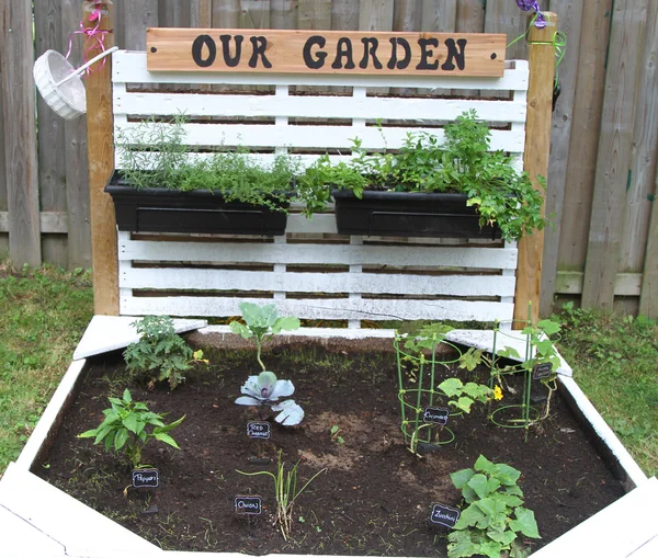 Garden made from pallets — Stock Photo, Image