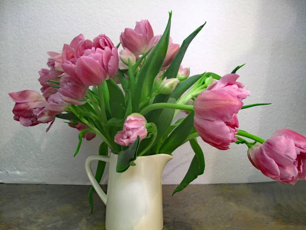 Mauve Tulips Vase — Stock Photo, Image