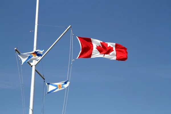 Kanada bayrağı ve Nova Scotia dan iki bayrak — Stok fotoğraf