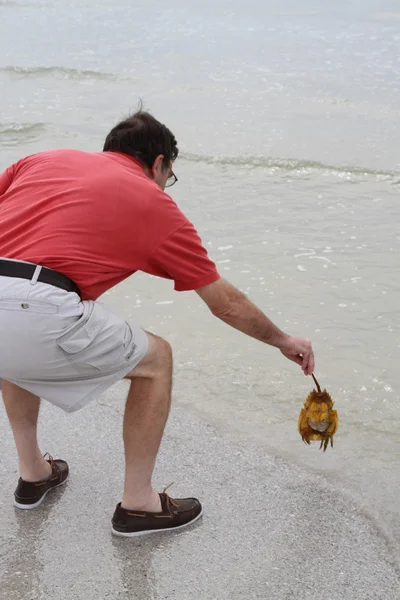 Homme âgé mettant un crabe dans l'océan — Photo
