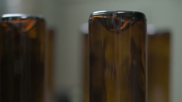 Botol Anggur Kosong Yang Terbuat Dari Kaca Coklat Konveyor Cuci — Stok Video