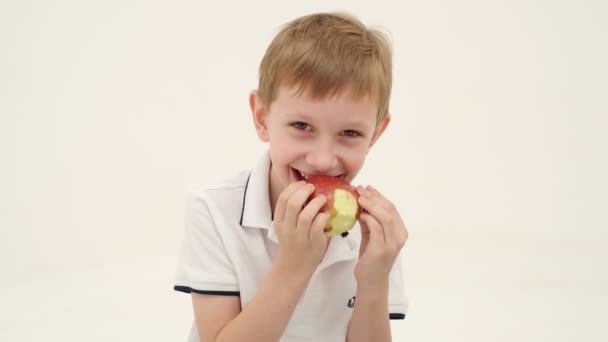 白いポロ不足しているいくつかの歯の小さな男の子は 光の背景に赤いリンゴを食べる スローモーション — ストック動画