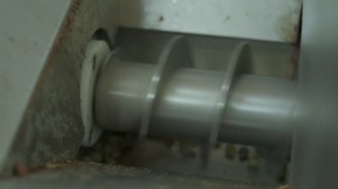 Rotary press yeşil üzümlerden meyve suyu sıkıyor. Yavaş çekim