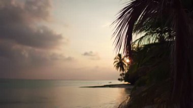 Okyanus sahilinde palmiye ağacıyla dramatik bir tropik gün batımı. Maldivler Adası