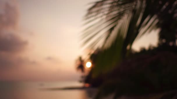 Dramatický Tropický Západ Slunce Palmami Pláži Oceánu Maledivy Island — Stock video