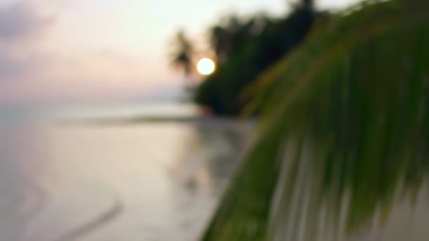 Dramatis Matahari Terbenam Tropis Dengan Pohon Palem Pantai Laut Pulau — Stok Video