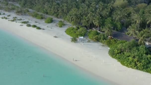 Μαλδίβες Τροπική Παραλία Φοίνικες Καρύδας Και Περιοχή Θέρετρο Και Λευκή — Αρχείο Βίντεο