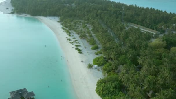 Maldiverna Tropisk Strand Med Kokospalmer Och Resort Område Och Vit — Stockvideo