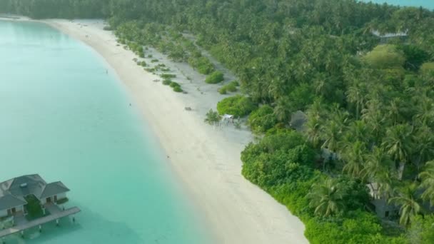 Malediwy Tropikalnej Plaży Palmami Kokosowymi Obszar Kurortu Biały Piasek Plaży — Wideo stockowe