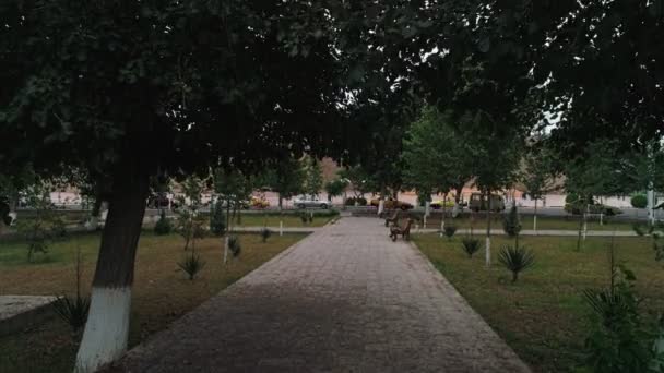 Park Ark Bukhara Fortress Drone Camera Rises Trees See Street — Stock Video