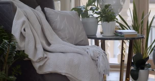 Poltrona Violeta Escura Mesa Café Redonda Que Plantas Potes Livros — Vídeo de Stock