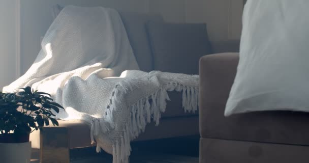 Oturma Odasının Köşesinde Bir Kanepe Gri Palette Yastıklı Koltuklar Kanepenin — Stok video