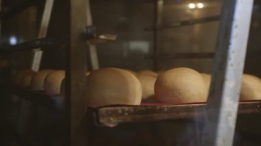 Fırın tepsilerindeki buğday ekmeği döner fırında pişirilir. Yavaş çekim