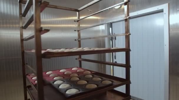 Pasta Pronta Cuocere Nel Carrello Con Teglie Forno Cuocere Pasta — Video Stock