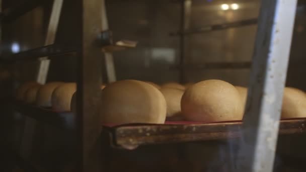 Tarwebrood Bakplaten Wordt Gebakken Een Draaibakoven Langzame Beweging — Stockvideo