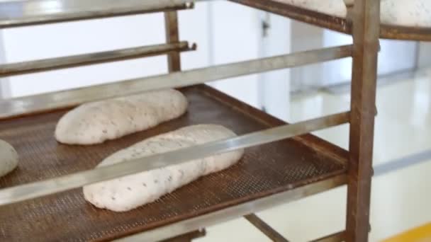 未烘烤的葡萄干面包被装上烤盘 放到烤箱推车上 慢动作 — 图库视频影像