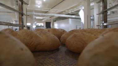 Go-pro kamera, yemek tepsisinin üzerine taze fırınlanmış ekmeklerle birlikte taşınır.
