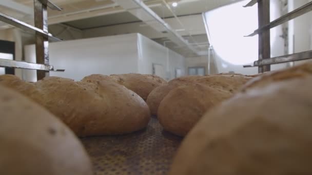 Pro Kamera Yemek Tepsisinin Üzerine Taze Fırınlanmış Ekmeklerle Birlikte Taşınır — Stok video