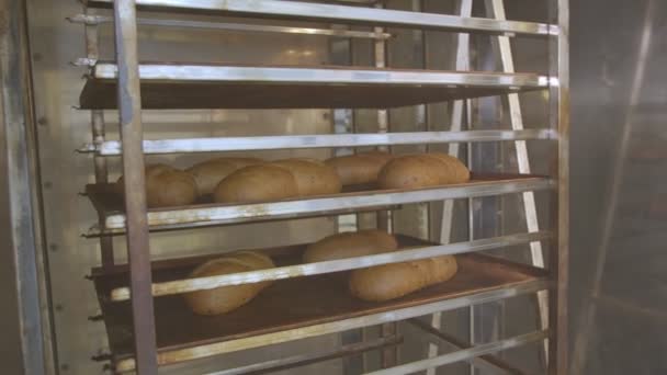 Frisch Gebackenes Brot Auf Backblechen Liegt Auf Dem Wagen Der — Stockvideo